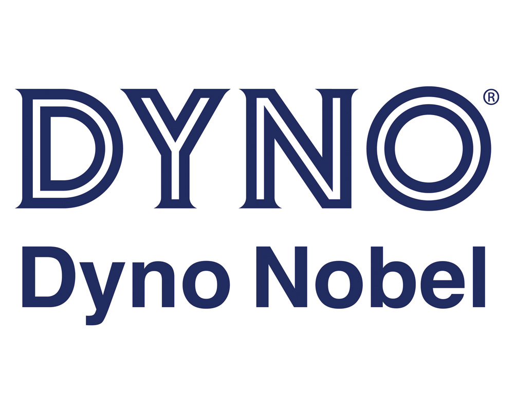 DYNO 100 companies