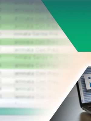 website img – 9-29-23_excel risks