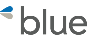 Blue & Co. LLC