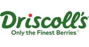 Driscoll s Logo